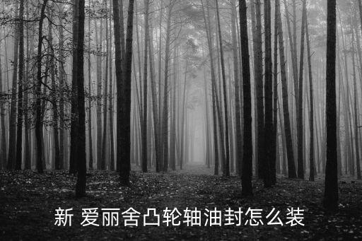 新 爱丽舍凸轮轴油封怎么装