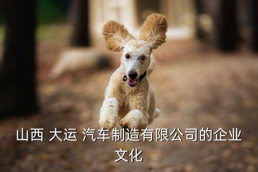 山西 大运 汽车制造有限公司的企业文化