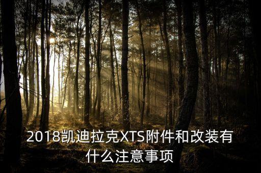 2018凯迪拉克XTS附件和改装有什么注意事项
