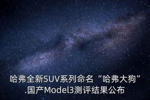 哈弗全新SUV系列命名“哈弗大狗”.国产Model3测评结果公布