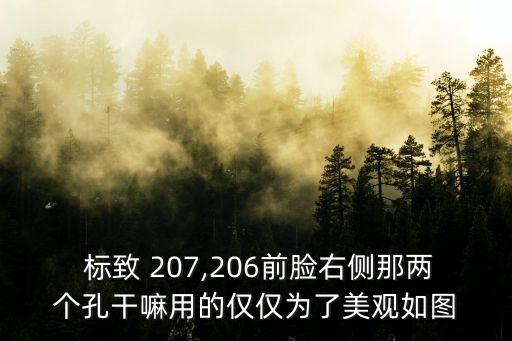  标致 207,206前脸右侧那两个孔干嘛用的仅仅为了美观如图
