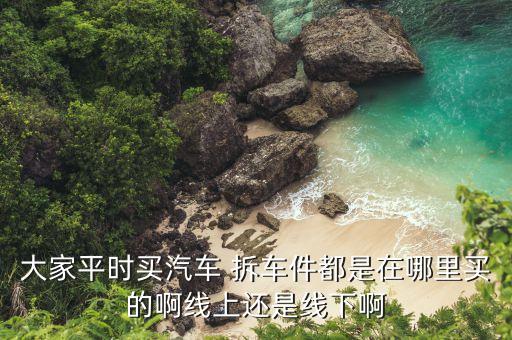 大家平时买汽车 拆车件都是在哪里买的啊线上还是线下啊