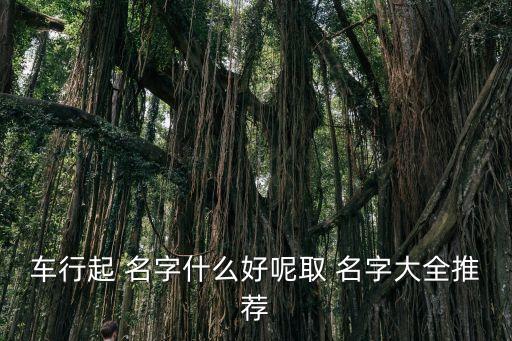 车行起 名字什么好呢取 名字大全推荐