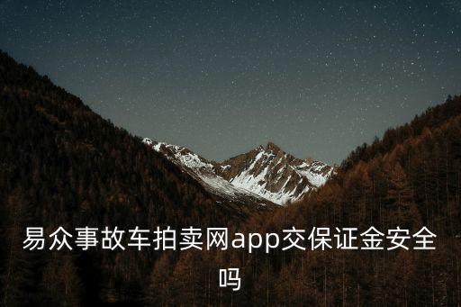 车饰品批发网APP,济南车饰品批发在什么地方