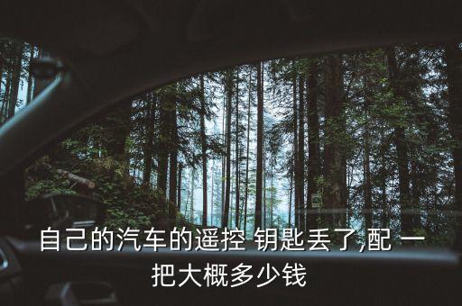 配一把小车钥匙多少钱,配把小车钥匙多少钱