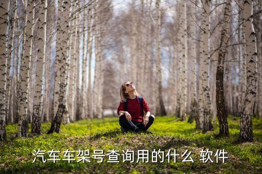 图片搜车型号软件,拍照搜手机型号软件