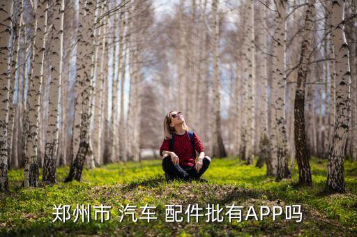 郑州市 汽车 配件批有APP吗