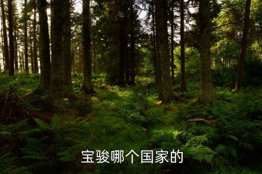  宝骏哪个国家的