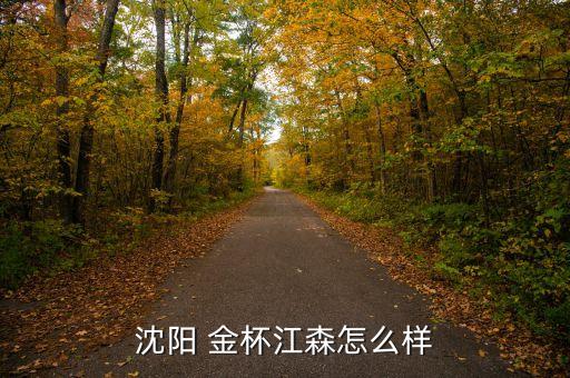 沈阳 金杯江森怎么样