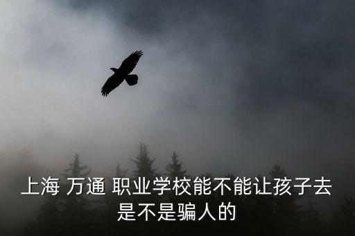 上海 万通 职业学校能不能让孩子去是不是骗人的