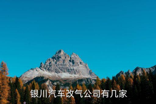  银川汽车改气公司有几家