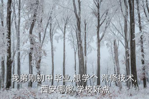 西安汽修学校哪个最好,货车修理厂附近的修理厂