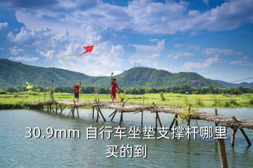 30.9mm 自行车坐垫支撑杆哪里买的到