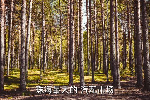 珠海最大的 汽配市场
