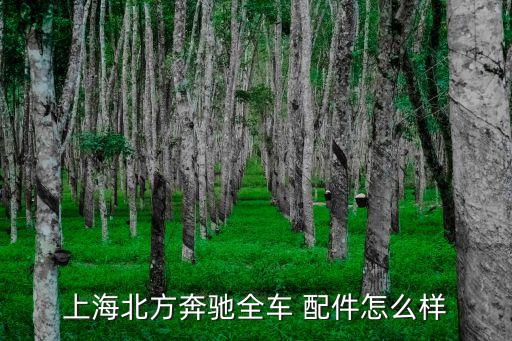 红岩金刚车原厂配件