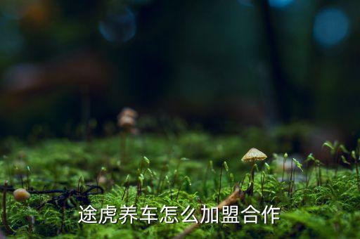 汽车品牌加盟招商,哪吒汽车加盟条件及招商政策