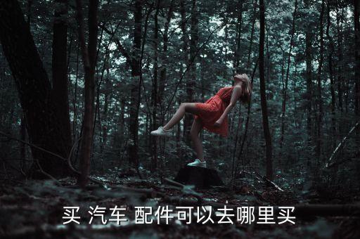 到哪里买汽车配件比较全,汽车配件哪里买便宜