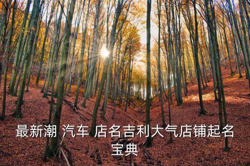 最新潮 汽车 店名吉利大气店铺起名宝典