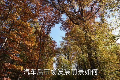  汽车后市场发展前景如何