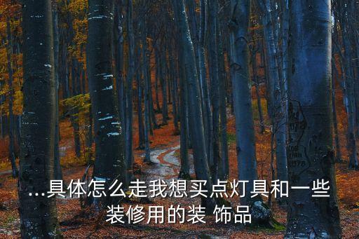 ...具体怎么走我想买点灯具和一些装修用的装 饰品