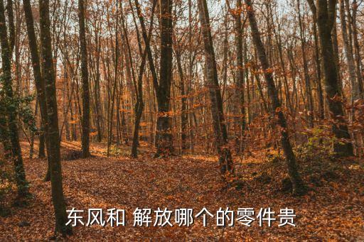 东风和 解放哪个的零件贵
