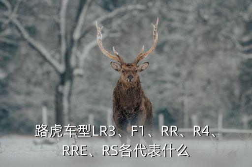 路虎车型LR3、F1、RR、R4、RRE、RS各代表什么