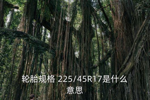 轮胎规格 225/45R17是什么意思