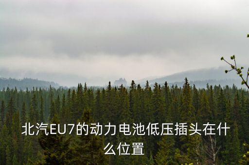  北汽EU7的动力电池低压插头在什么位置