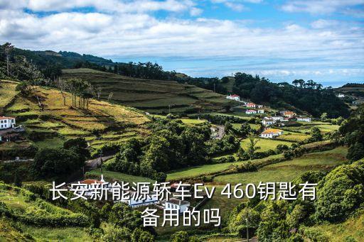  长安新能源轿车Ev 460钥匙有备用的吗