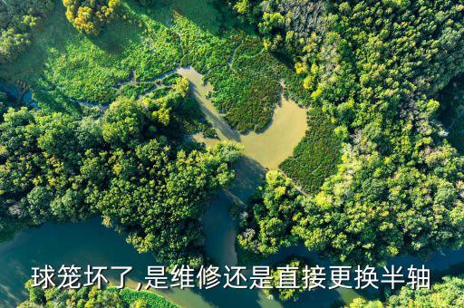 球笼坏了,是维修还是直接更换半轴