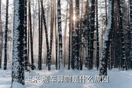 宝来刹车分泵怎么回位,刹车分泵怎么更换