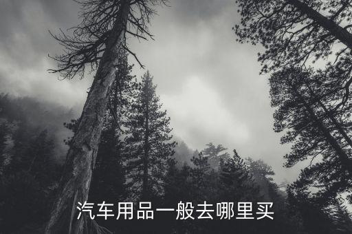 汽车用品一般去哪里买