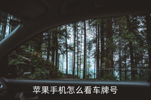 苹果手机怎么看车牌号