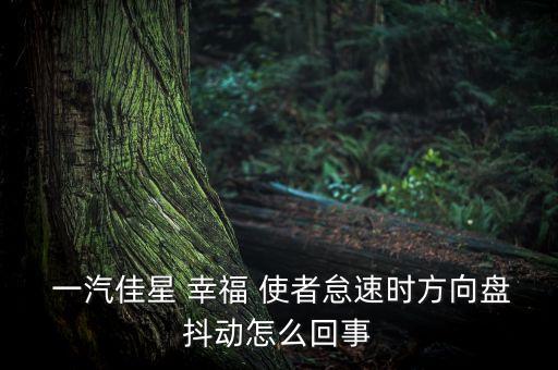一汽幸福使者配件,一汽佳星幸福使者图片