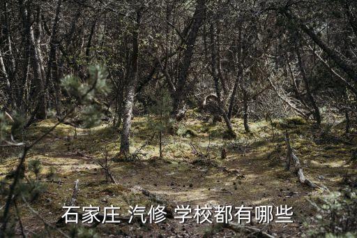 石家庄 汽修 学校都有哪些