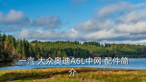  一汽 大众奥迪A6L中网 配件简介
