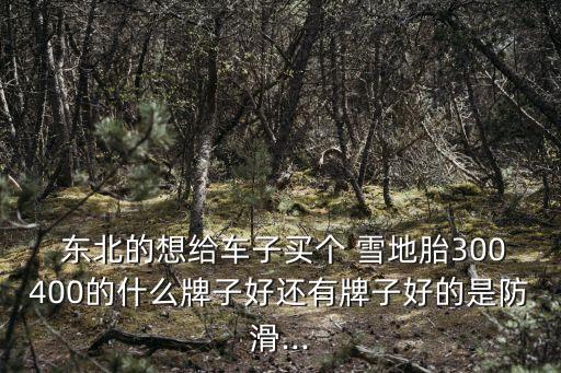  东北的想给车子买个 雪地胎300400的什么牌子好还有牌子好的是防滑...