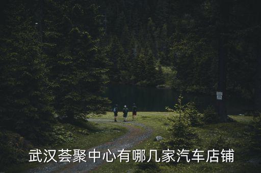  武汉荟聚中心有哪几家汽车店铺