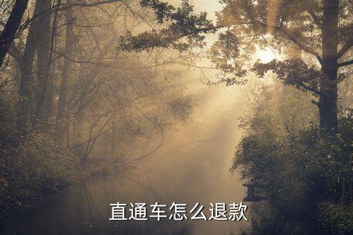  直通车怎么退款