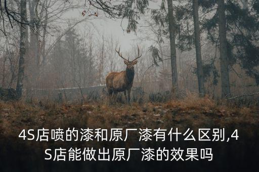 汽车配件上喷的什么漆