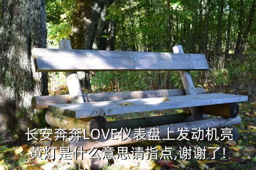  长安奔奔LOVE仪表盘上发动机亮黄灯是什么意思请指点,谢谢了!