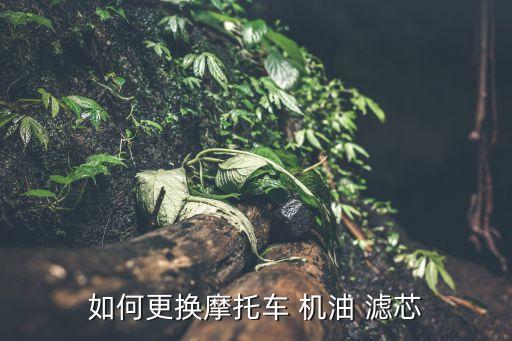 德龙车 机油滤芯怎么换,陕汽德龙f3000机油滤芯型号
