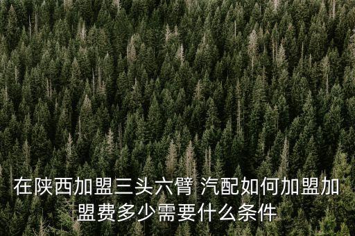 在陕西加盟三头六臂 汽配如何加盟加盟费多少需要什么条件