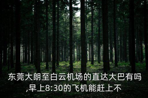  东莞大朗至白云机场的直达大巴有吗,早上8:30的飞机能赶上不