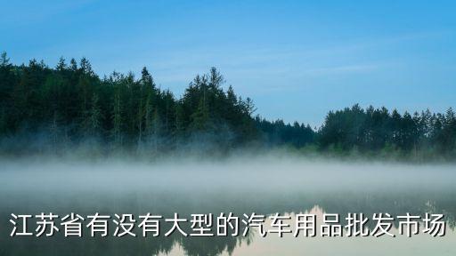 江苏省有没有大型的汽车用品批发市场