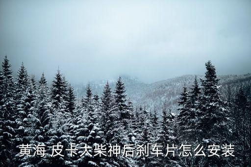 济南黄海皮卡柴油机配件