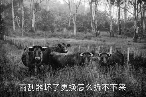雨刮器坏了更换怎么拆不下来