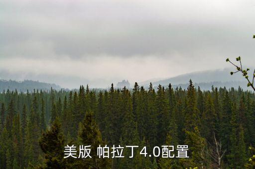 美版 帕拉丁4.0配置