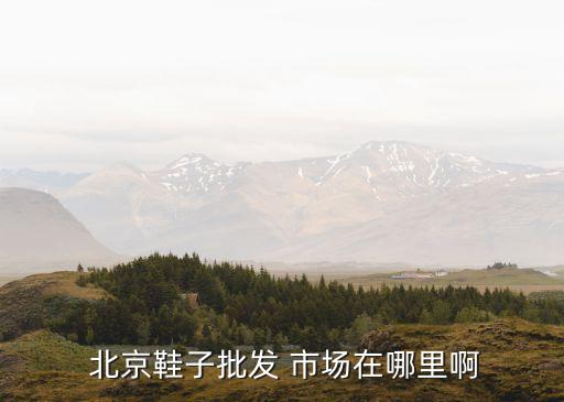  北京鞋子批发 市场在哪里啊