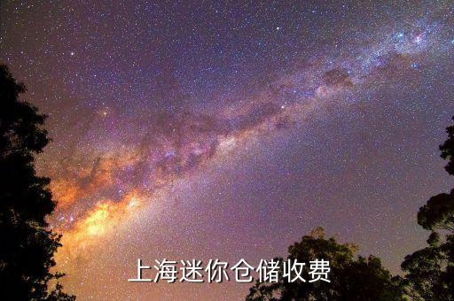  上海迷你仓储收费
